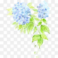 彩绘蓝色小花