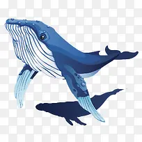 卡通一只蓝色可爱的座头鲸插画免