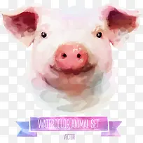 矢量彩绘猪