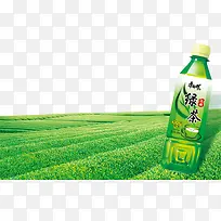 产品实物康师傅绿茶