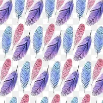 水彩绘波西米亚风羽毛矢量图