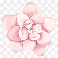 花卉图案素材花卉画 粉色花朵