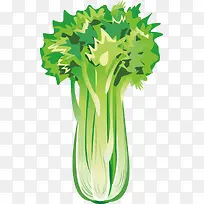 芹菜