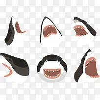 矢量不同角度的鲨鱼头像