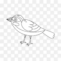 鸟类线条简笔画