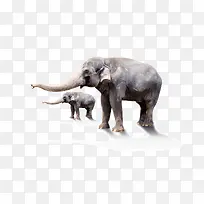 产品实物大象和小象