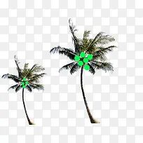 南方椰子树立体素材