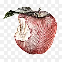 苹果手绘图