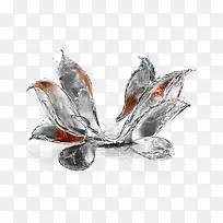 水型花瓣