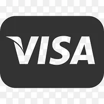 visa icon
