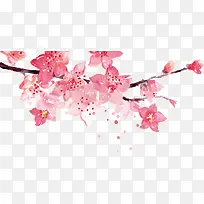 枝头浪漫粉色桃花