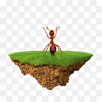 创意合成绿色的草地蚂蚁