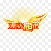 梦想绽放