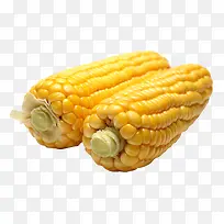 黄色新鲜玉米