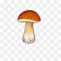 一颗小蘑菇