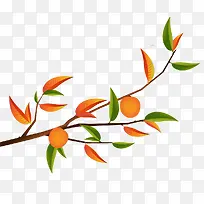 矢量手绘插图秋天树枝叶与橘子
