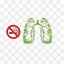 绿色树叶的肺部结构图