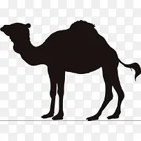 动物剪影骆驼