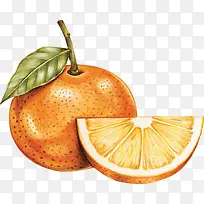 手绘风水果美味橙子