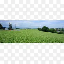 乡村田园banner背景