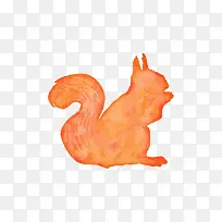 橙色松鼠