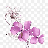 免抠手绘蝴蝶兰鲜花