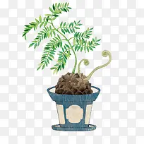 卡通手绘植物盆栽