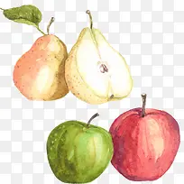 手绘水彩苹果和梨