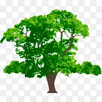 绿树png矢量元素