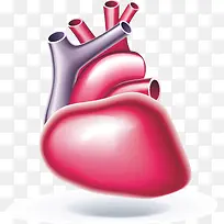 人体器官心脏元素