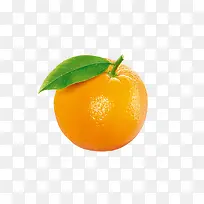 黄色橙子