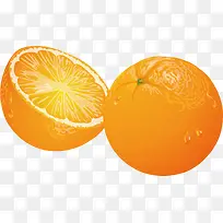 橙色桔子水果素材