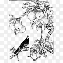 梨树与乌鸦