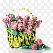 粉色小花和篮子