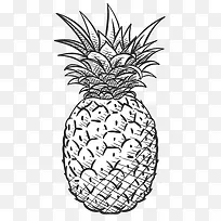 卡通手绘线描菠萝