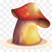 营养的蘑菇