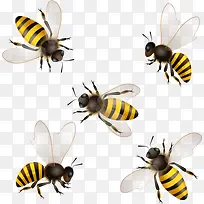 五只蜜蜂
