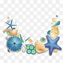 蓝色海星和贝壳
