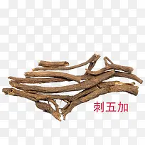 刺五加中药