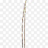 漂亮创意花枝