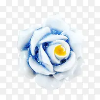 蓝白青花瓷花