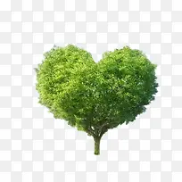 心形绿色大树植树节元素