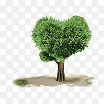 创意爱心形状绿色树木