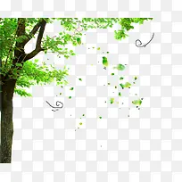 风吹绿叶手绘