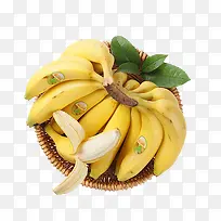 产品实物水果香蕉