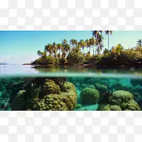 蓝天白云椰林海水珊瑚