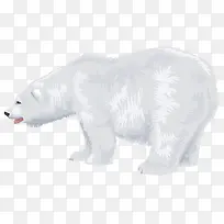 肥硕的雪白北极熊图行天下