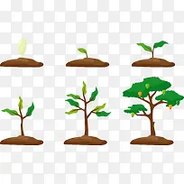 矢量植物