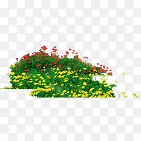 花草