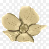 棕色长春花